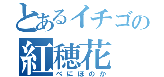 とあるイチゴの紅穂花（べにほのか）