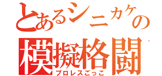 とあるシニカケの模擬格闘（プロレスごっこ）