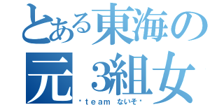 とある東海の元３組女子（〜ｔｅａｍ ないそ〜）