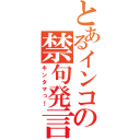 とあるインコの禁句発言（キンタマっ！）