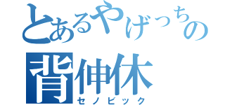 とあるやげっちびの背伸休（セノビック）