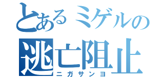 とあるミゲルの逃亡阻止（ニガサンヨ）