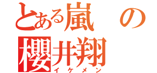 とある嵐の櫻井翔（イケメン）