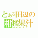 とある田辺の柑橘果汁（オレンジジュース）