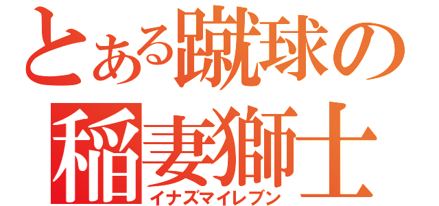 とある蹴球の稲妻獅士（イナズマイレブン）