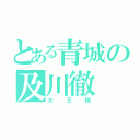 とある青城の及川徹（大王様）