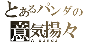 とあるパンダの意気揚々（Ａ ｐａｎｄａ）