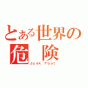 とある世界の危　険　物（Ｊｕｎｋ Ｆｏｏｔ）