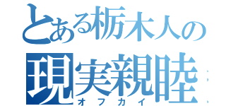 とある栃木人の現実親睦会（オフカイ）