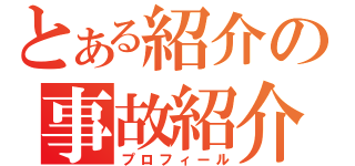 とある紹介の事故紹介（プロフィール）