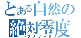 とある自然の絶対零度（ブリザード）