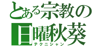 とある宗教の日曜秋葵（テクニシャン）