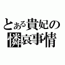 とある貴妃の憐哀事情（）