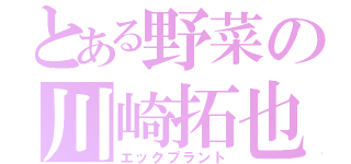 とある野菜の川崎拓也（エックプラント）