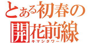 とある初春の開花前線（キマシタワー）