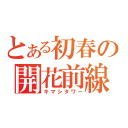 とある初春の開花前線（キマシタワー）