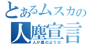 とあるムスカの人塵宣言（人が塵のようだ）