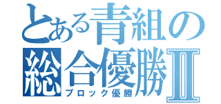 とある青組の総合優勝Ⅱ（ブロック優勝）