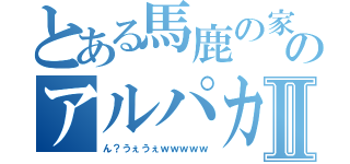 とある馬鹿の家ののアルパカさんⅡ（ん？うぇうぇｗｗｗｗｗ）