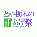 とある栃木の山あげ祭（世界無形文化遺産）