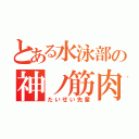 とある水泳部の神ノ筋肉（たいせい先輩）