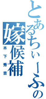 とあるちぃーふの嫁候補（木下秀吉）