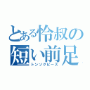 とある怜叔の短い前足（トンソクピース）