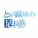 とある蹴球の足長族（カス、うるさい奴）