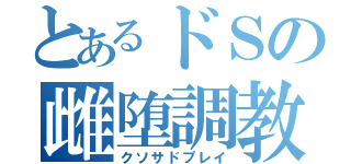 とあるドＳの雌堕調教（クソサドプレイ）