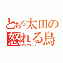 とある太田の怒れる鳥たち（アングリーバード）