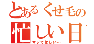 とあるくせ毛の忙しい日々（マジで忙しい…）