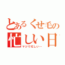 とあるくせ毛の忙しい日々（マジで忙しい…）