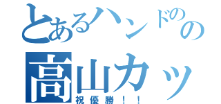 とあるハンドのの高山カップ（祝優勝！！）