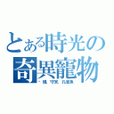 とある時光の奇異寵物（螞蟻．守宮．孔雀魚）