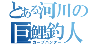 とある河川の巨鯉釣人（カープハンター）