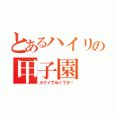 とあるハイリの甲子園（カクイでねくてが〜）