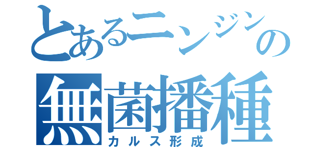 とあるニンジンの無菌播種（カルス形成）