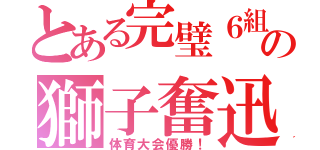 とある完璧６組の獅子奮迅（体育大会優勝！）