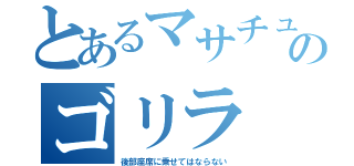 とあるマサチューセッツのゴリラ（後部座席に乗せてはならない）