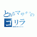 とあるマサチューセッツのゴリラ（後部座席に乗せてはならない）