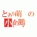 とある萌の小企鵝（企鵝）