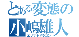 とある変態の小嶋雄人（エリマキドラゴン）