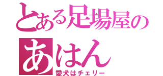 とある足場屋のあはん（愛犬はチェリー）