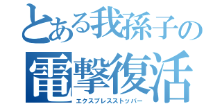 とある我孫子の電撃復活（エクスプレスストッパー）