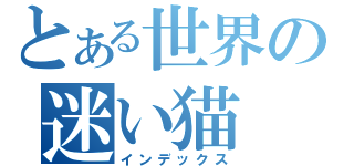 とある世界の迷い猫（インデックス）