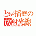 とある播磨の放射光線（スプリングエイト）