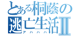 とある桐蔭の逃亡生活Ⅱ（アハハハ）