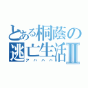 とある桐蔭の逃亡生活Ⅱ（アハハハ）