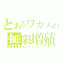 とあるワカメの無限増殖（インフィニティ）