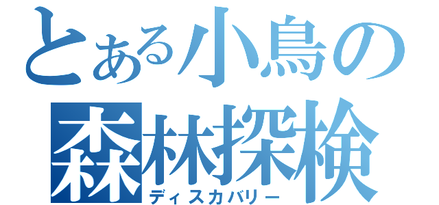 とある小鳥の森林探検（ディスカバリー）